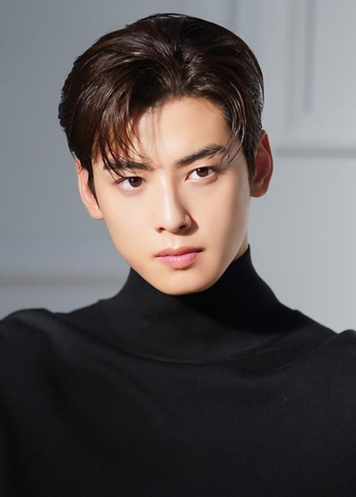 Cha Eun-woo Before Fame