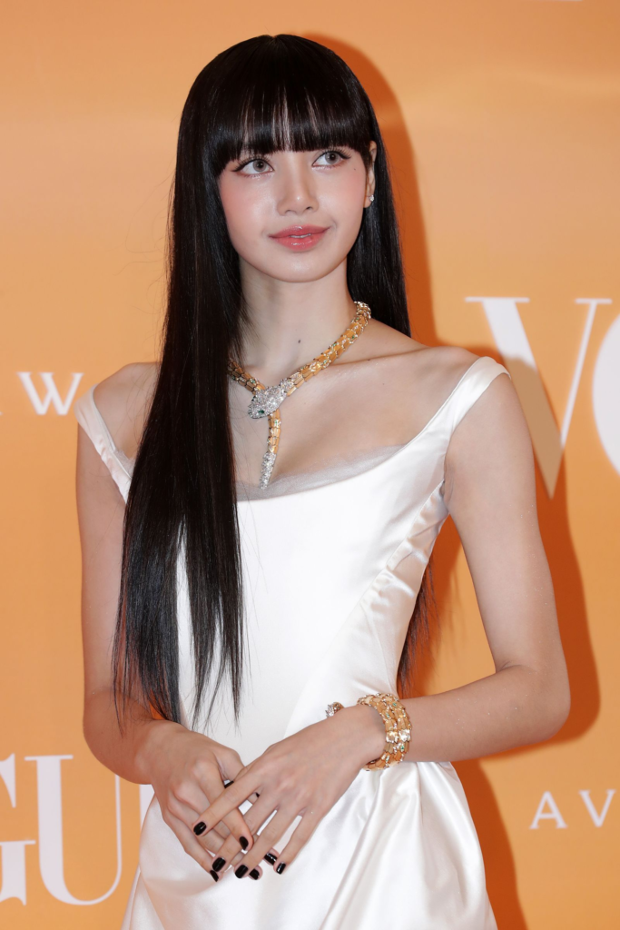 Lisa Social Media Presence